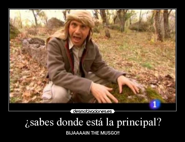¿sabes donde está la principal? - BIJAAAAIN THE MUSGO!!