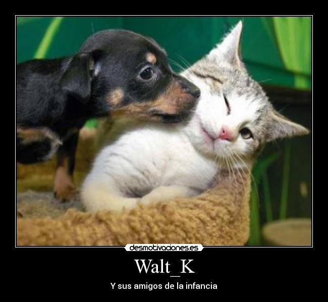 Walt_K -