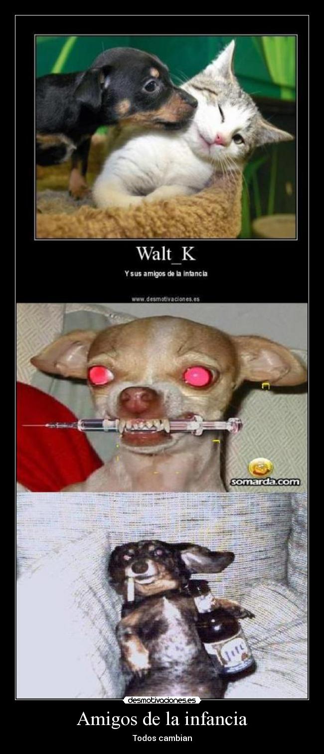 Amigos de la infancia - 