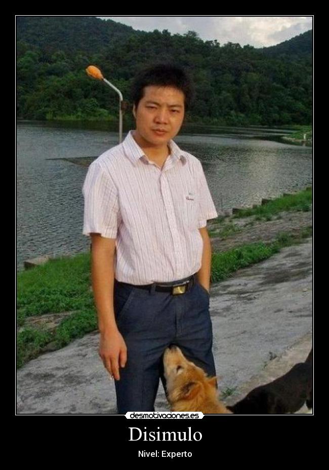 Disimulo - Nivel: Experto