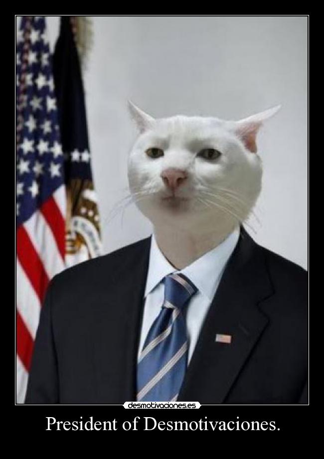 President of Desmotivaciones. -