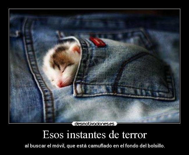 Esos instantes de terror - al buscar el móvil, que está camuflado en el fondo del bolsillo.