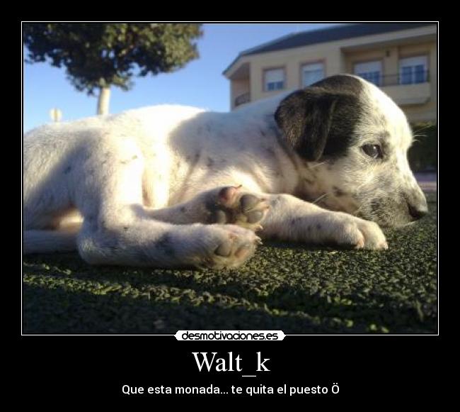 Walt_k -