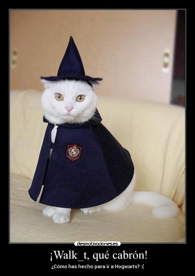 carteles walt_k hogwarts capa sombrero mago gatosblanco desmotivaciones