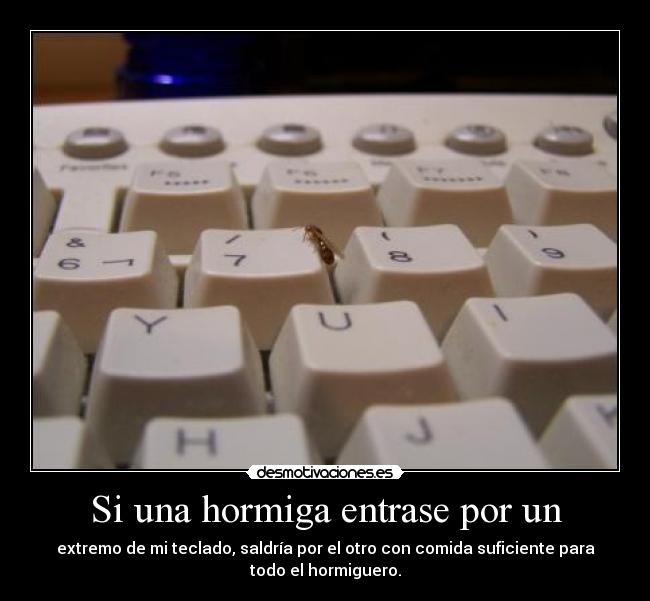Si una hormiga entrase por un - extremo de mi teclado, saldría por el otro con comida suficiente para
todo el hormiguero.