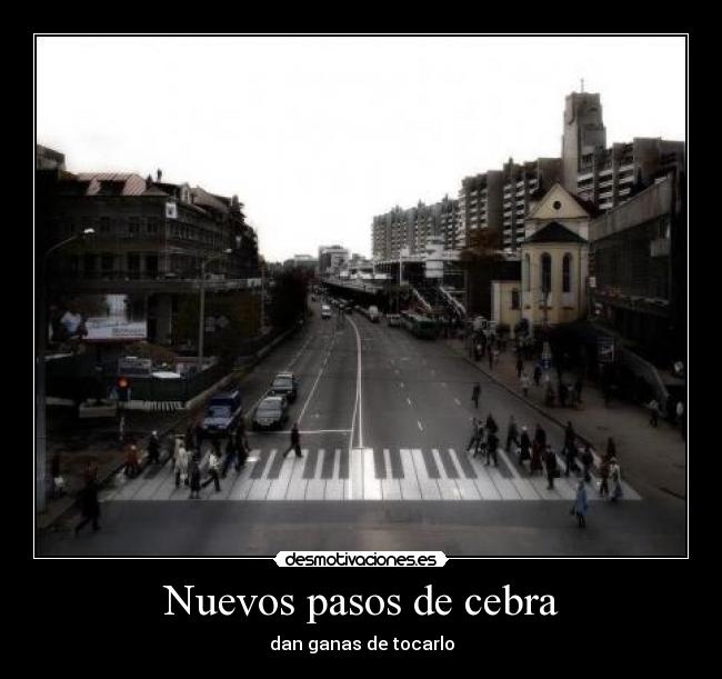 Nuevos pasos de cebra - dan ganas de tocarlo