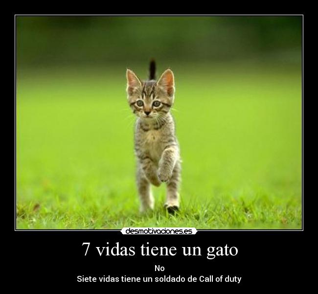 7 vidas tiene un gato -