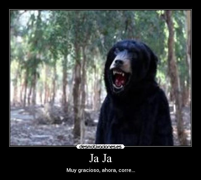 carteles oso ha correr desmotivaciones