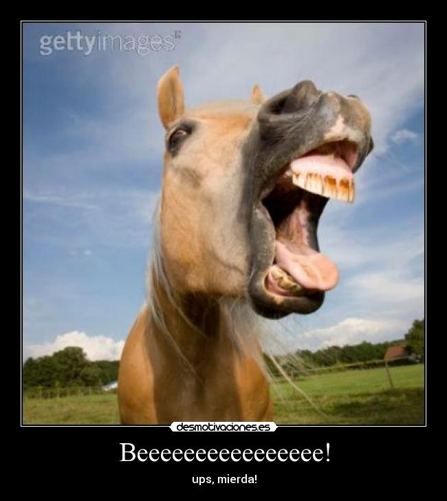 Beeeeeeeeeeeeeeee! - ups, mierda!