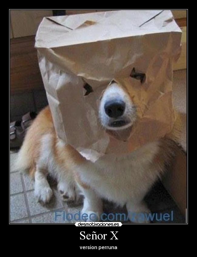 Señor X - version perruna