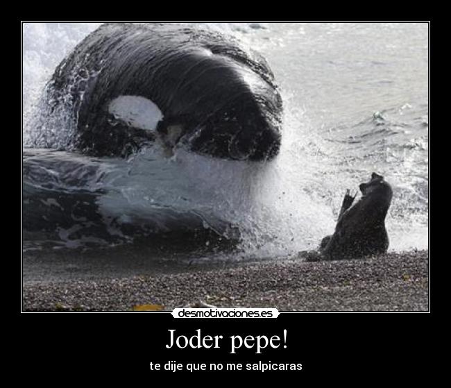 Joder pepe! - te dije que no me salpicaras