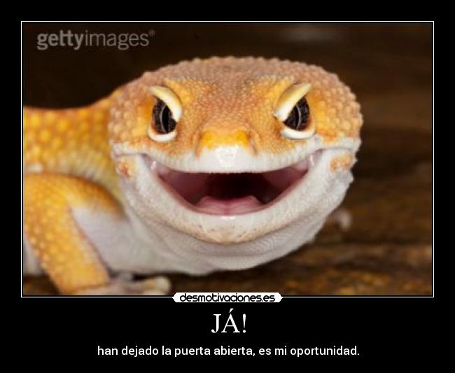 JÁ! - han dejado la puerta abierta, es mi oportunidad.