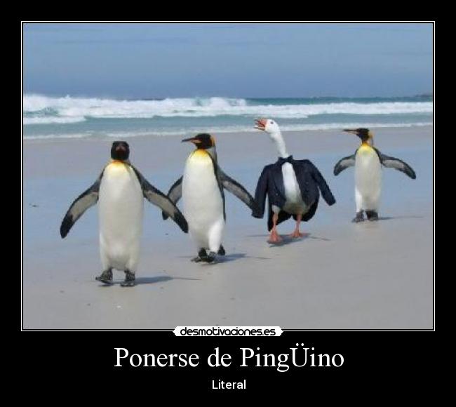 Ponerse de PingÜino -