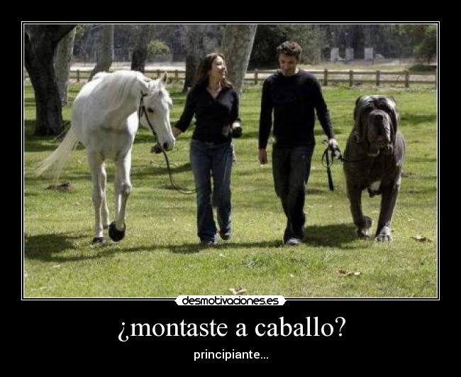 ¿montaste a caballo? - 