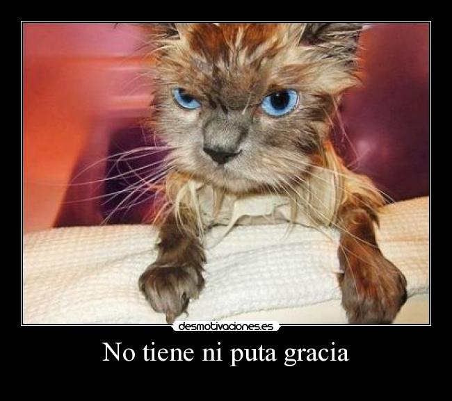 No tiene ni puta gracia -