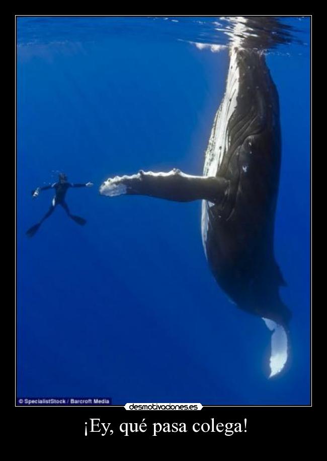 ¡Ey, qué pasa colega! - 