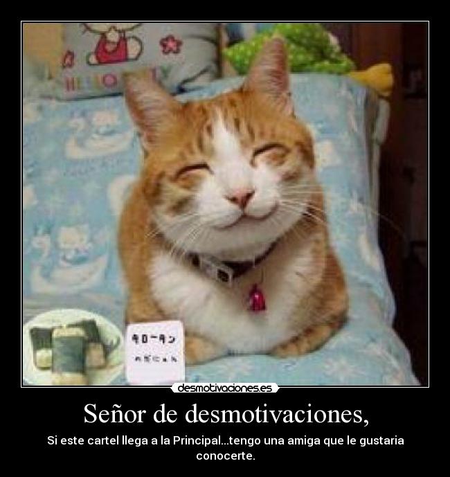 Señor de desmotivaciones, - 