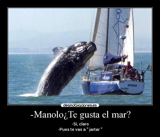 -Manolo¿Te gusta el mar? - -Si, claro
-Pues te vas a jartar