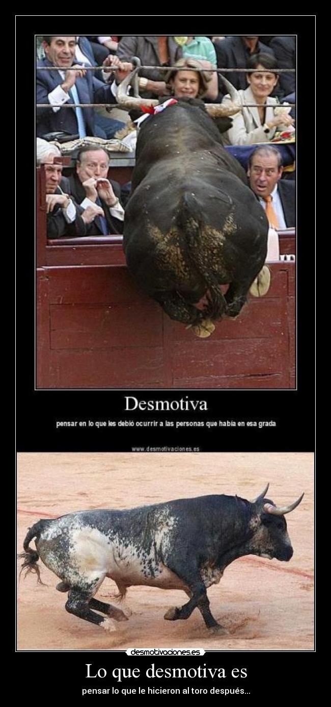 Lo que desmotiva es - pensar lo que le hicieron al toro después...