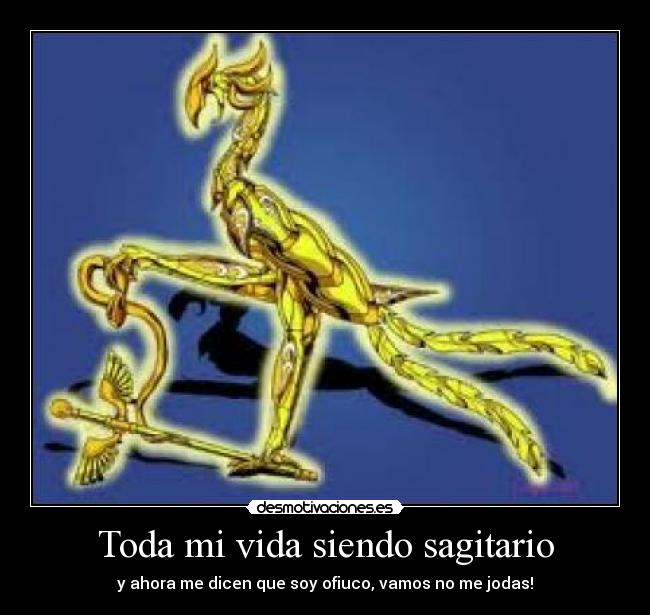 Toda mi vida siendo sagitario -