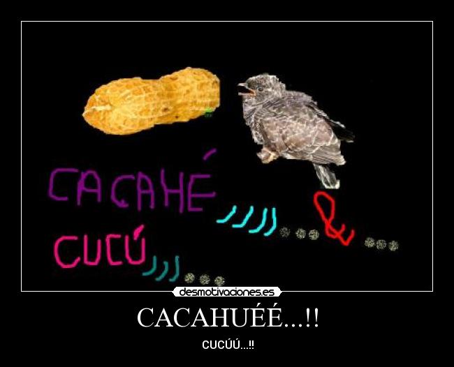 CACAHUÉÉ...!! -