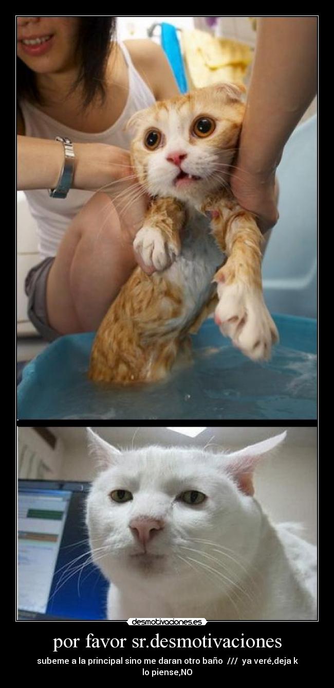 por favor sr.desmotivaciones -