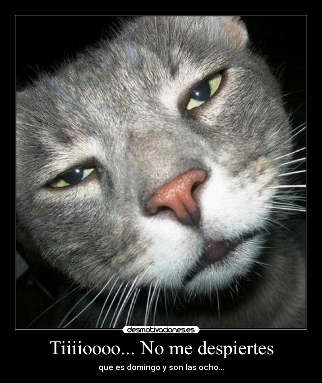 Tiiiioooo... No me despiertes -