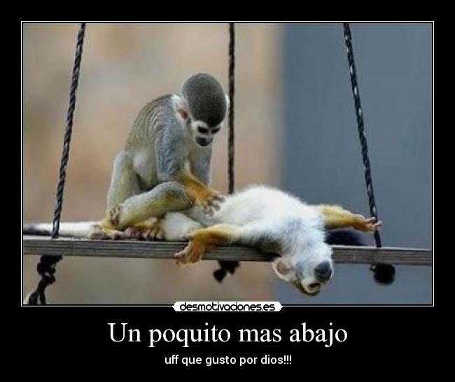 Un poquito mas abajo - 