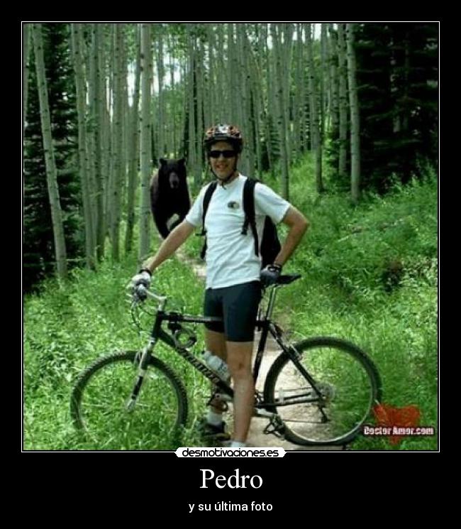 Pedro - 