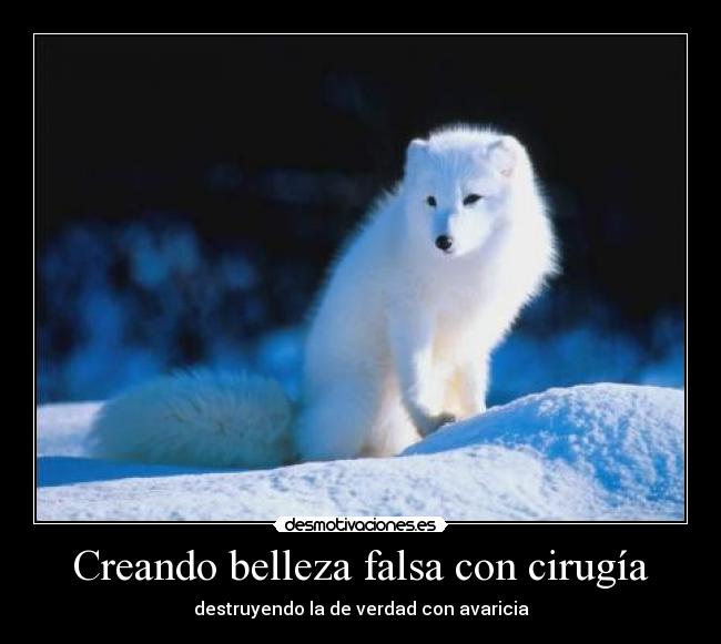 Creando belleza falsa con cirugía - 