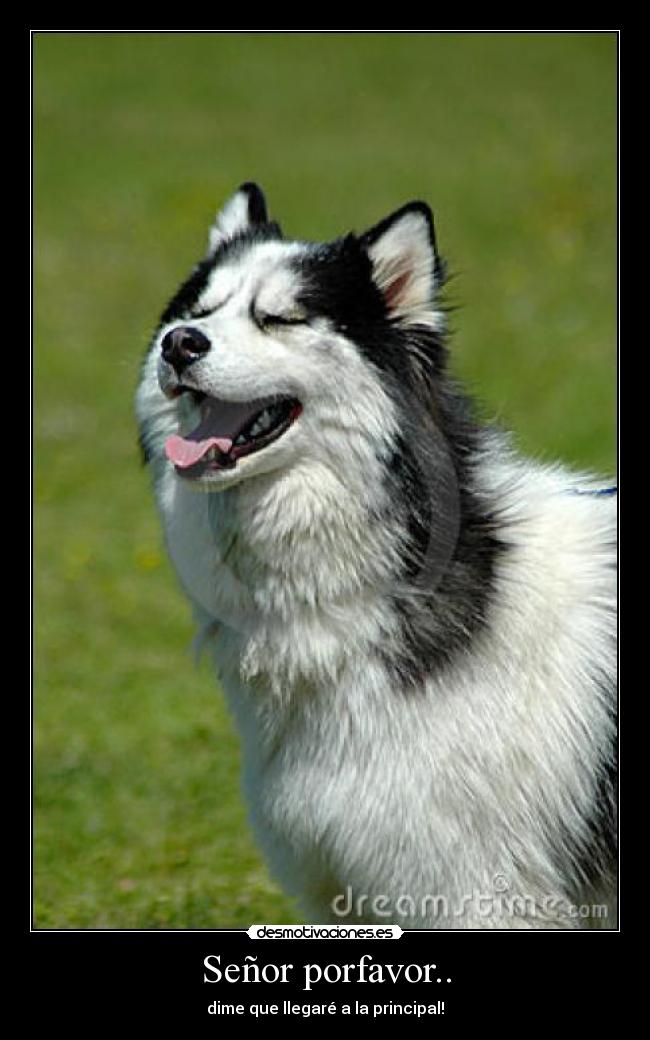 Señor porfavor.. - 