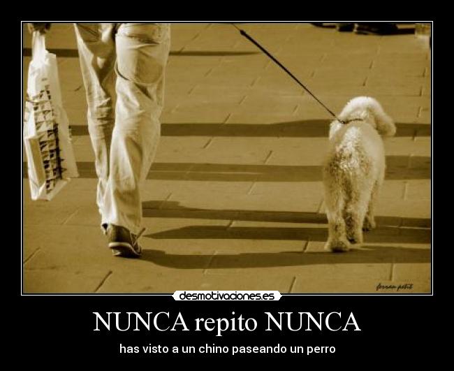 NUNCA repito NUNCA - 