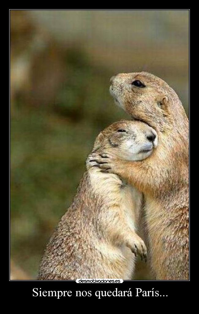 Siempre nos quedará París... - 
