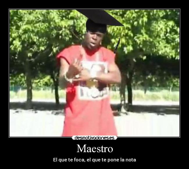 Maestro - 