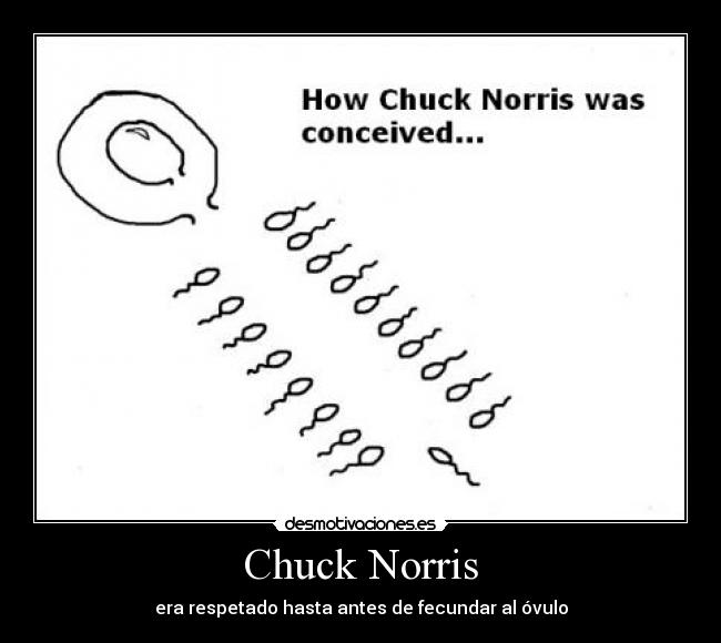 Chuck Norris - era respetado hasta antes de fecundar al óvulo