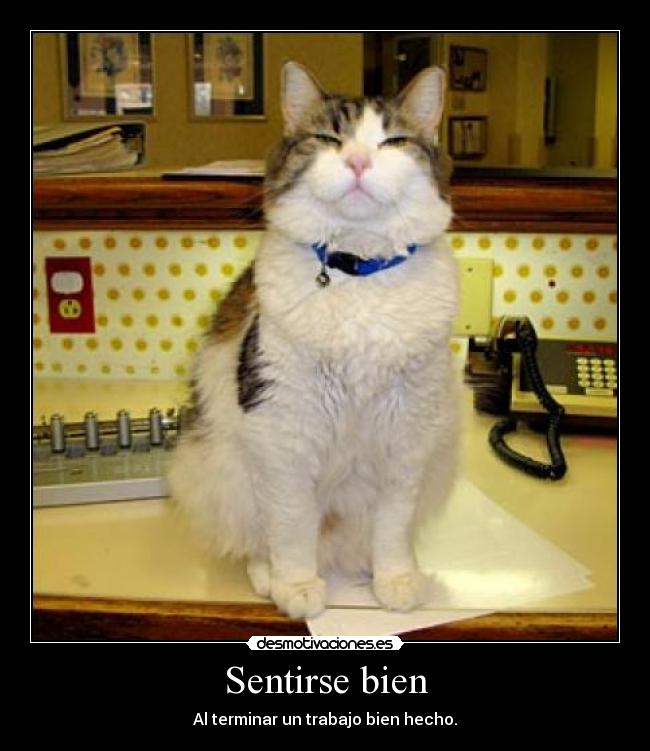 Sentirse bien - Al terminar un trabajo bien hecho.