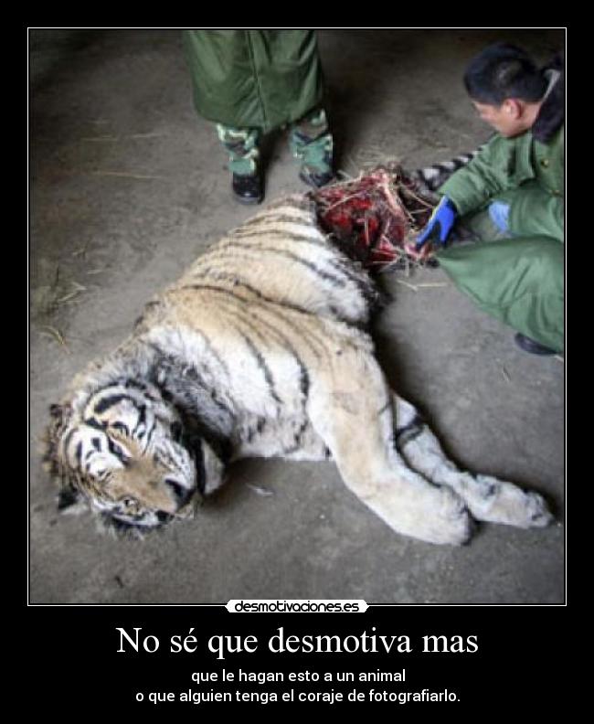 No sé que desmotiva mas -