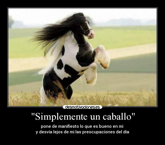 carteles simplemente caballo desmotivaciones
