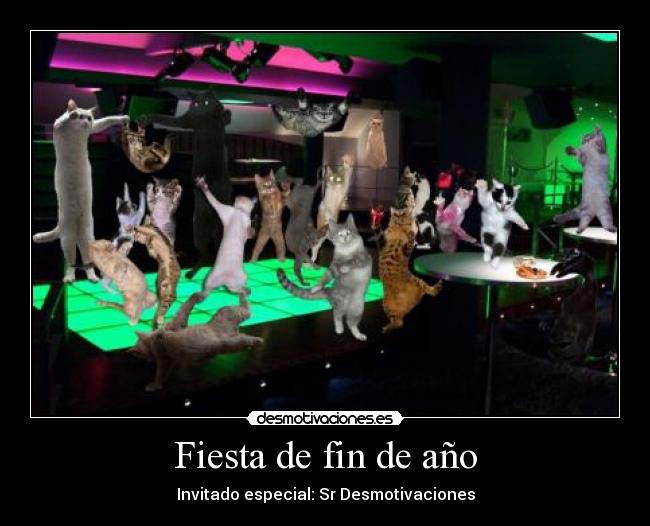 carteles fiesta fiesta gato caturday desmotivaciones