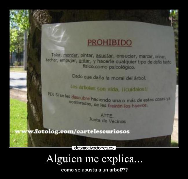 Alguien me explica... - 