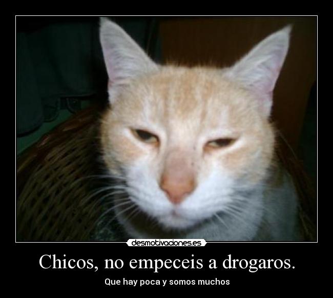 Chicos, no empeceis a drogaros. - Que hay poca y somos muchos