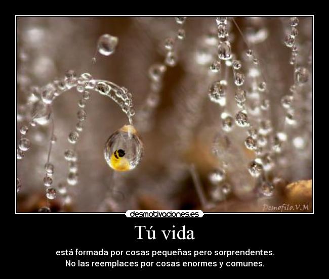 Tú vida -