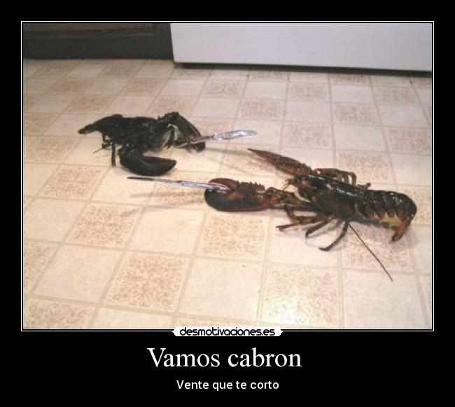 Vamos cabron - Vente que te corto