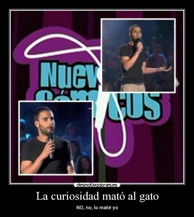 La curiosidad mató al gato -