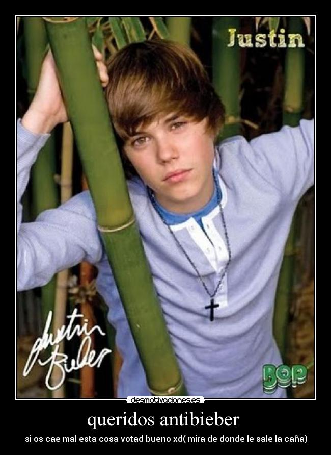 queridos antibieber  - 
