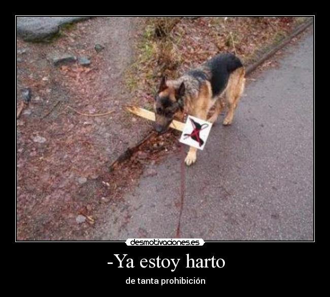 -Ya estoy harto - de tanta prohibición