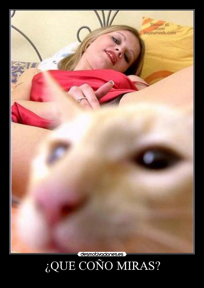 ¿QUE COÑO MIRAS? -