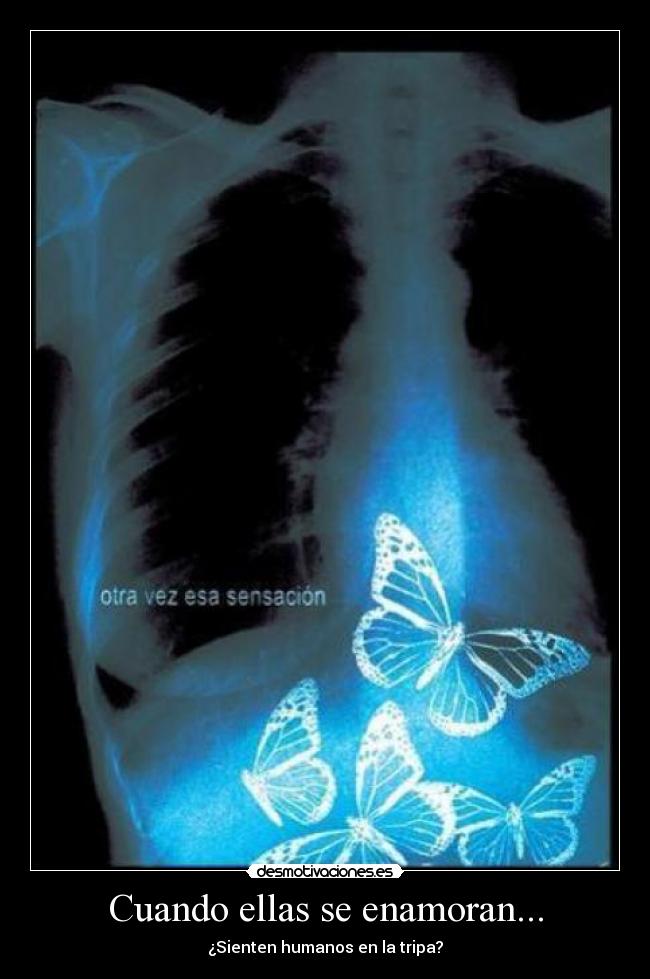 Cuando ellas se enamoran... - ¿Sienten humanos en la tripa?