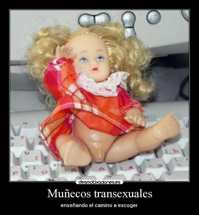 Muñecos transexuales - 