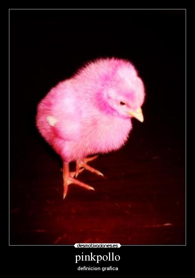 pinkpollo -